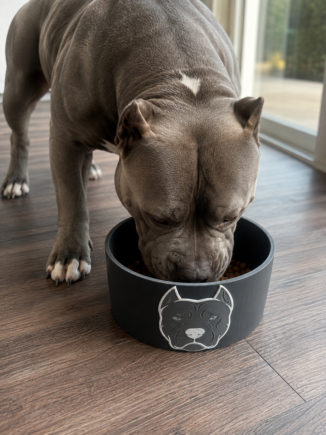 Pit Bull Bowl