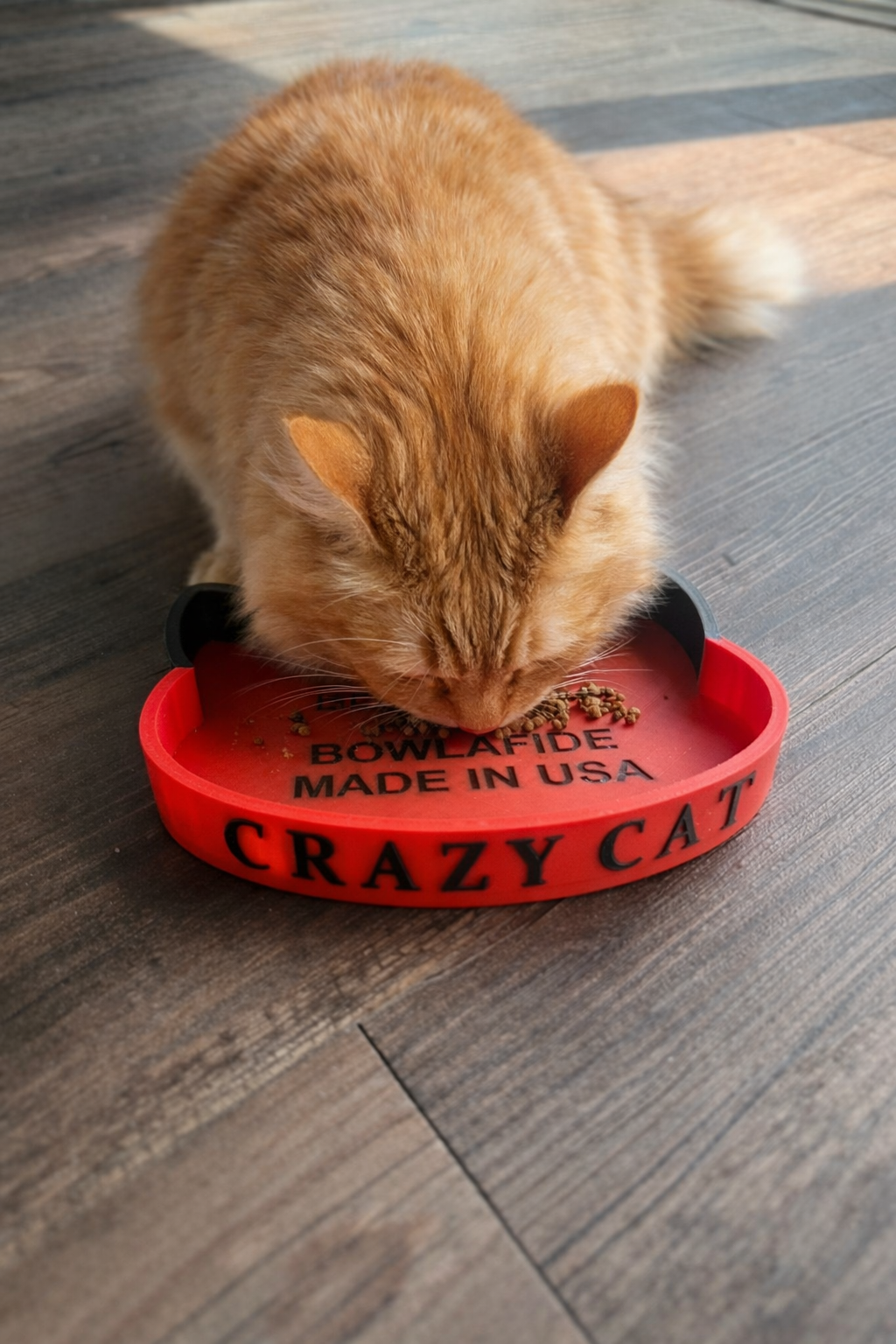 Crazy Cat Bowl