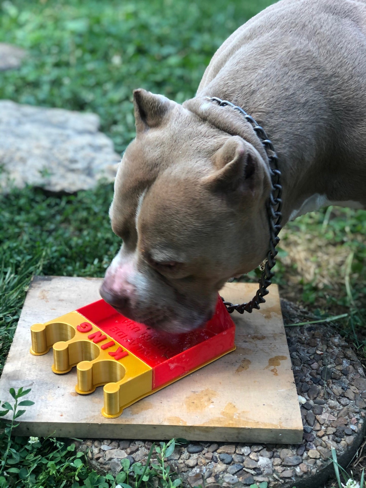 Crown Shaped Unipet Bowl